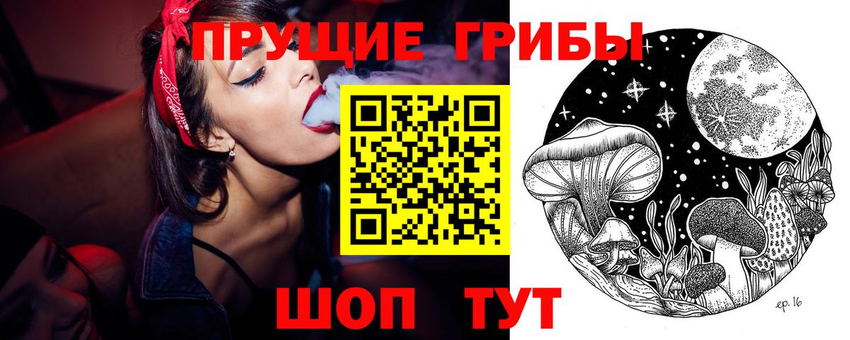 Галлюциногенные грибы Psilocybe  Вход с VPN  Татарск 